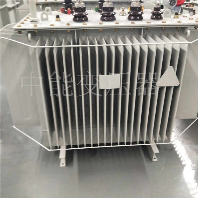 揭阳S20-800KVA变压器