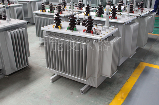 揭阳S22-100KVA/10KV/0.4KV变压器